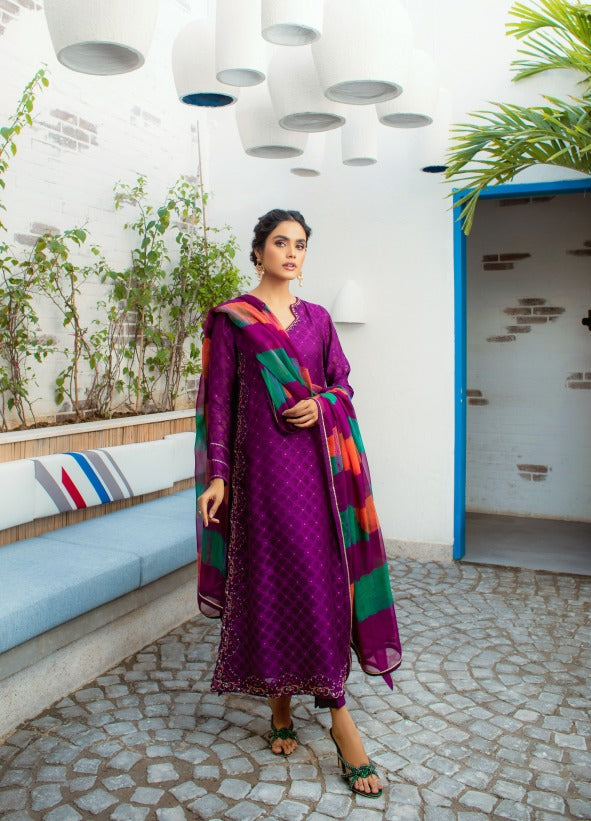 Anam Akhlaq | Festive Collection | D-14 - House Of Anaya