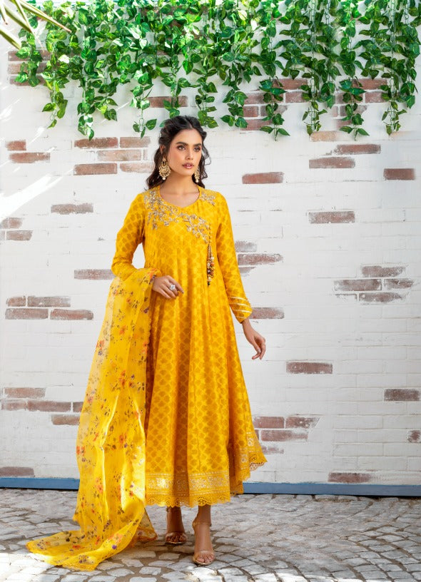 Anam Akhlaq | Festive Collection | D-12 - House Of Anaya