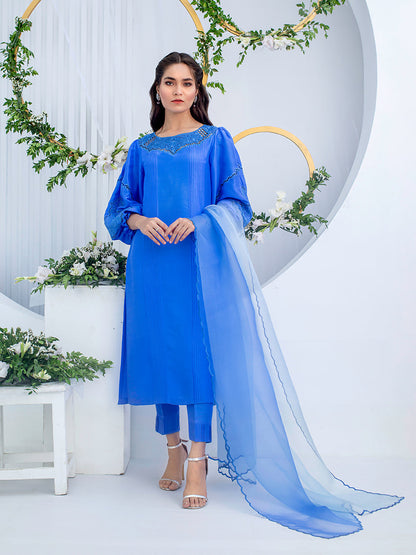 Anam Akhlaq | Festive Collection | D-02 - House Of Anaya
