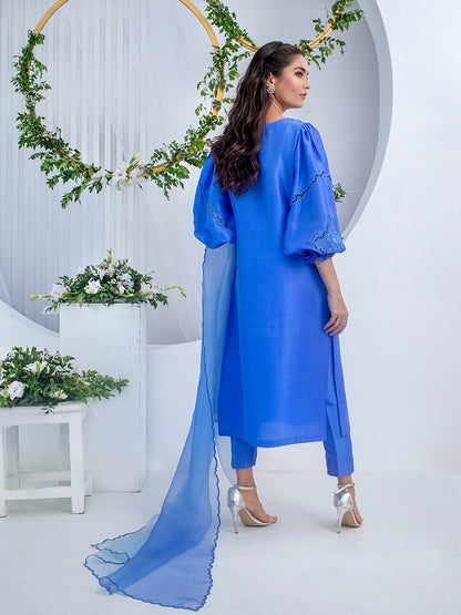 Anam Akhlaq | Festive Collection | D-02 - House Of Anaya
