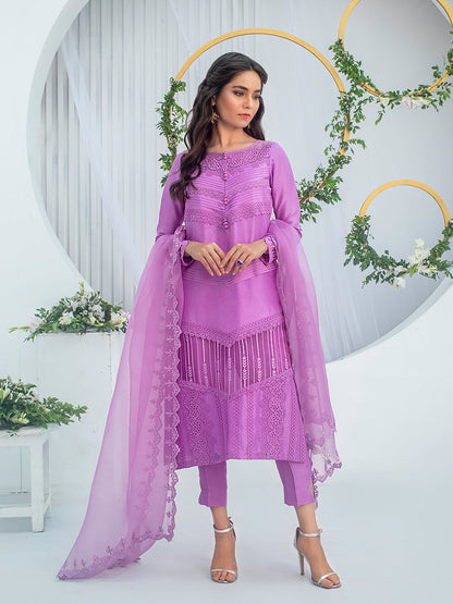 Anam Akhlaq | Festive Collection | D-01 - House Of Anaya
