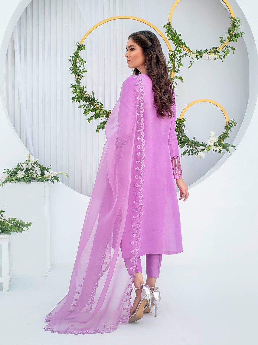 Anam Akhlaq | Festive Collection | D-01 - House Of Anaya