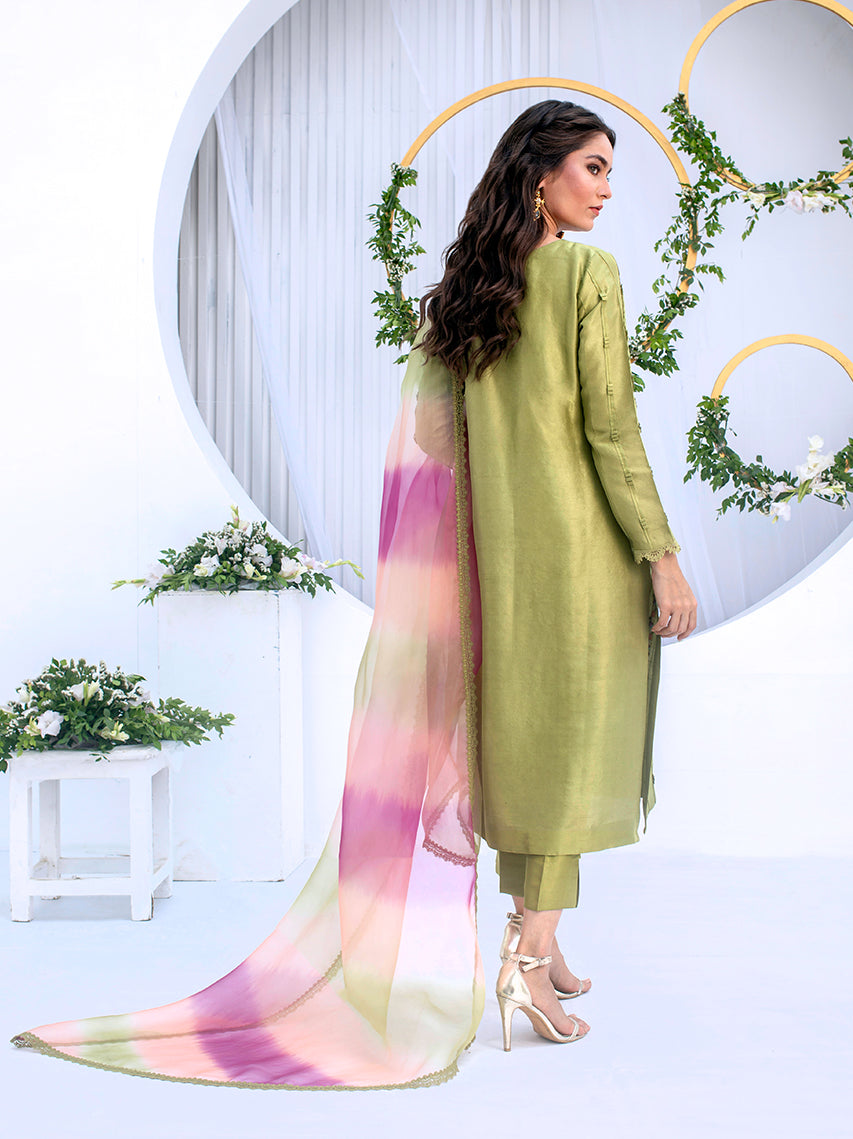 Anam Akhlaq | Festive Collection | D-04 - House Of Anaya