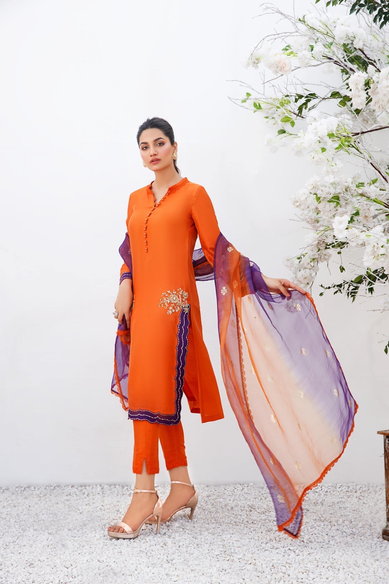 Anam Akhlaq | Festive Collection | D-19 - House Of Anaya