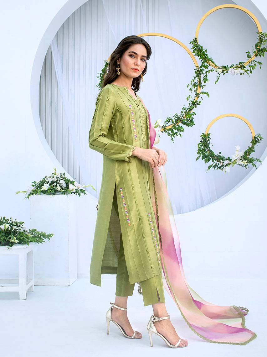 Anam Akhlaq | Festive Collection | D-04 - House Of Anaya