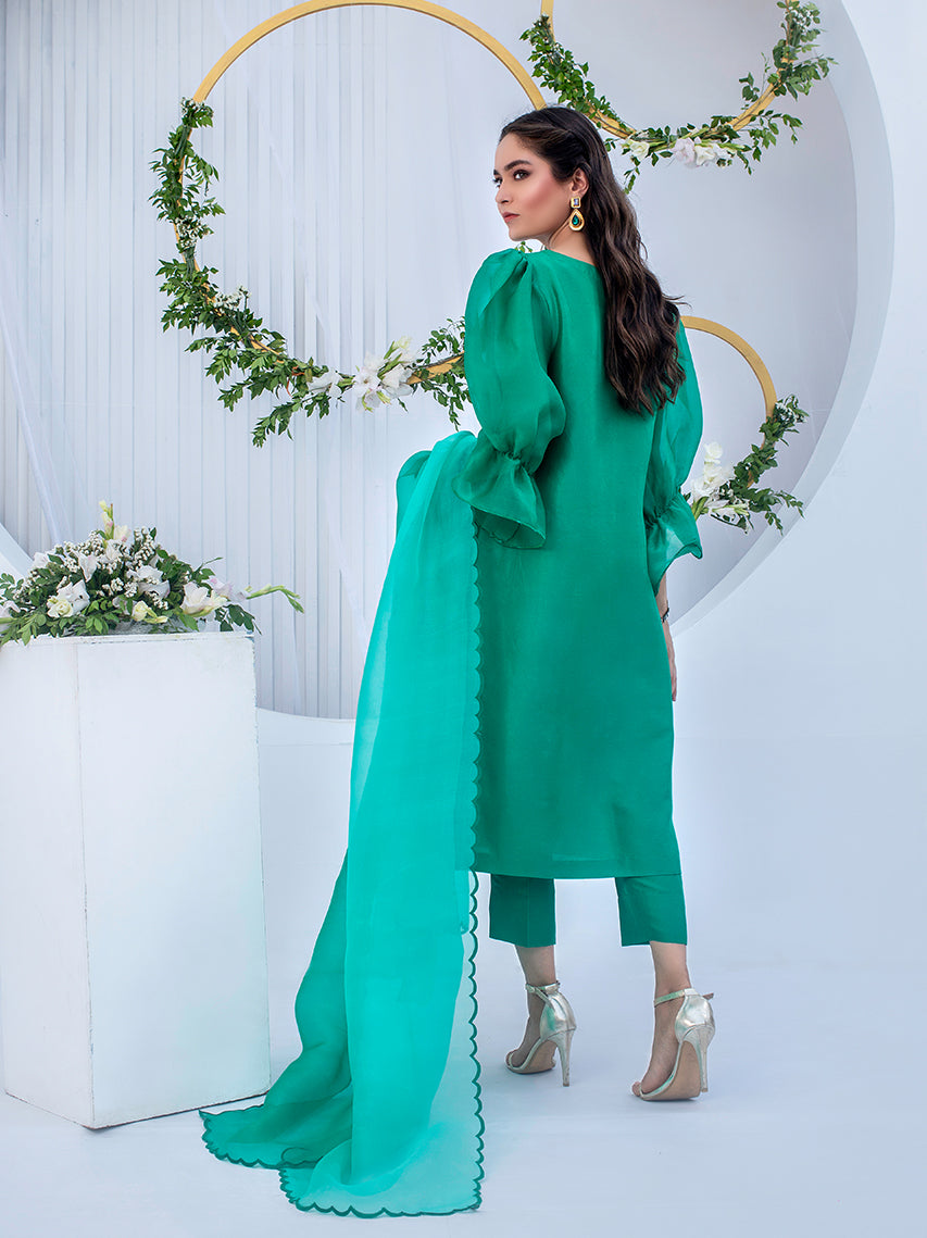 Anam Akhlaq | Festive Collection | D-05 - House Of Anaya