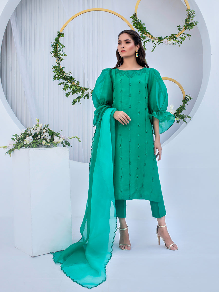 Anam Akhlaq | Festive Collection | D-05 - House Of Anaya