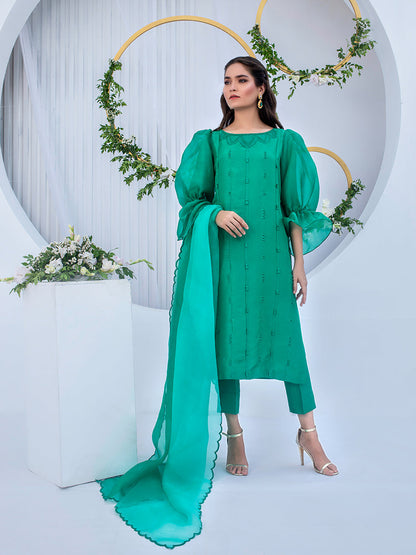 Anam Akhlaq | Festive Collection | D-05 - House Of Anaya