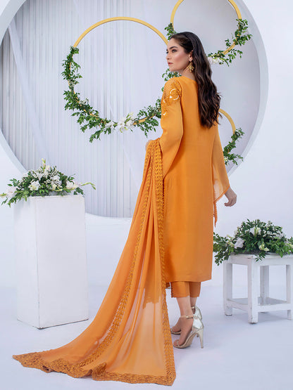 Anam Akhlaq | Festive Collection | D-03 - House Of Anaya