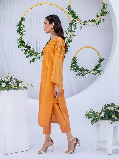 Anam Akhlaq | Festive Collection | D-03 - House Of Anaya