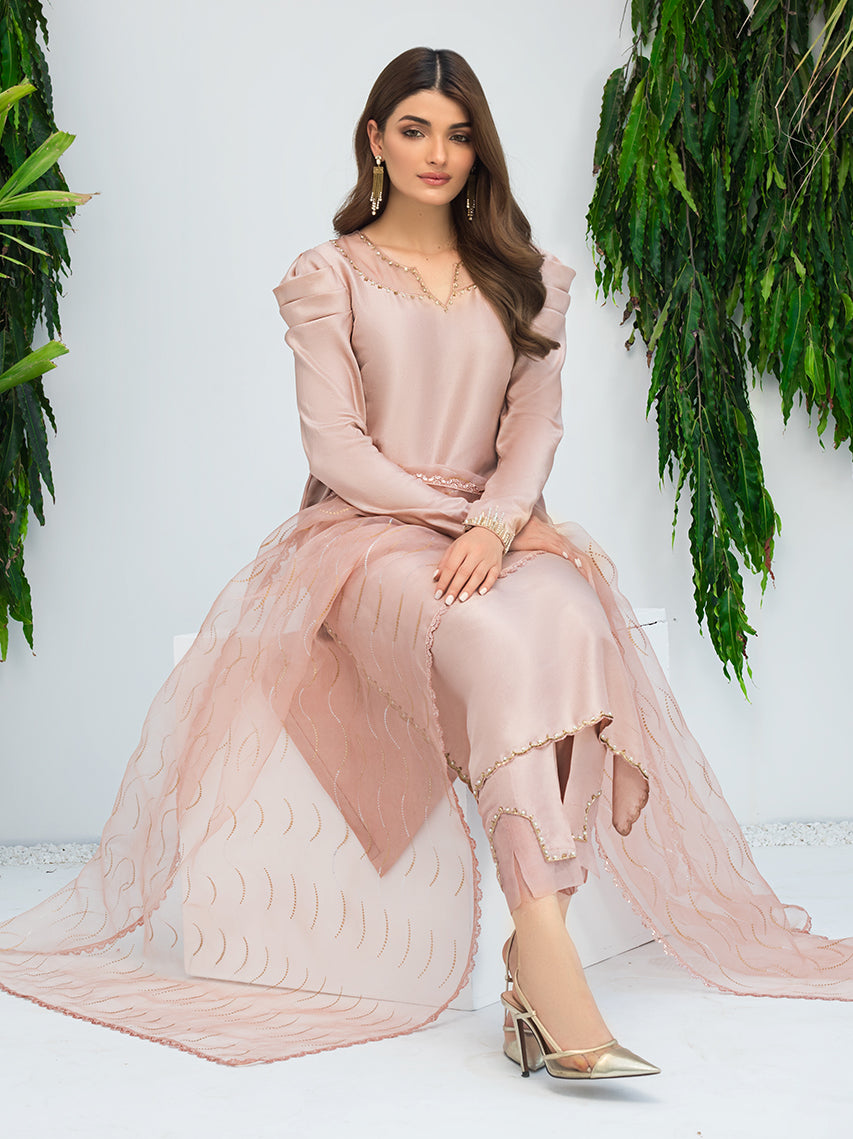 Anam Akhlaq | Festive Collection | D-09 - House Of Anaya