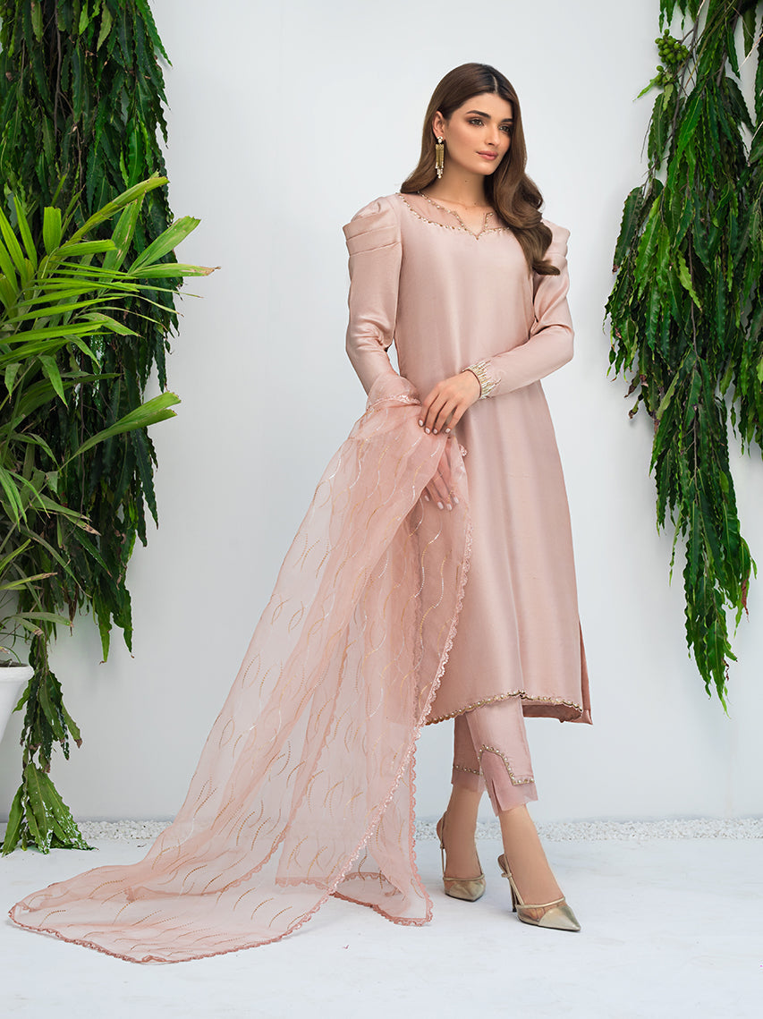 Anam Akhlaq | Festive Collection | D-09 - House Of Anaya