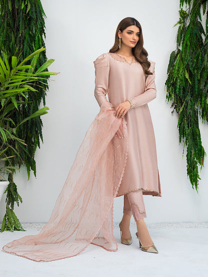 Anam Akhlaq | Festive Collection | D-09 - House Of Anaya