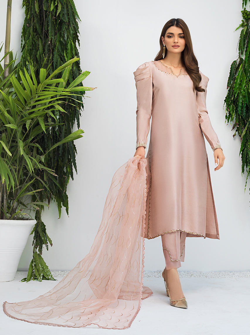 Anam Akhlaq | Festive Collection | D-09 - House Of Anaya