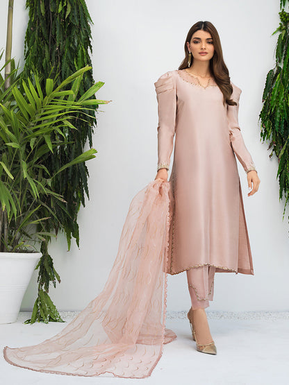 Anam Akhlaq | Festive Collection | D-09 - House Of Anaya