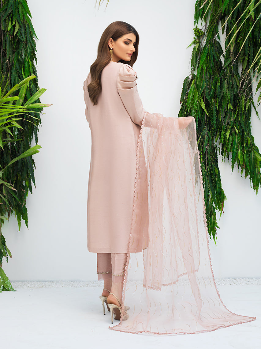 Anam Akhlaq | Festive Collection | D-09 - House Of Anaya
