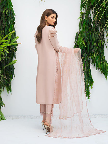 Anam Akhlaq | Festive Collection | D-09 - House Of Anaya