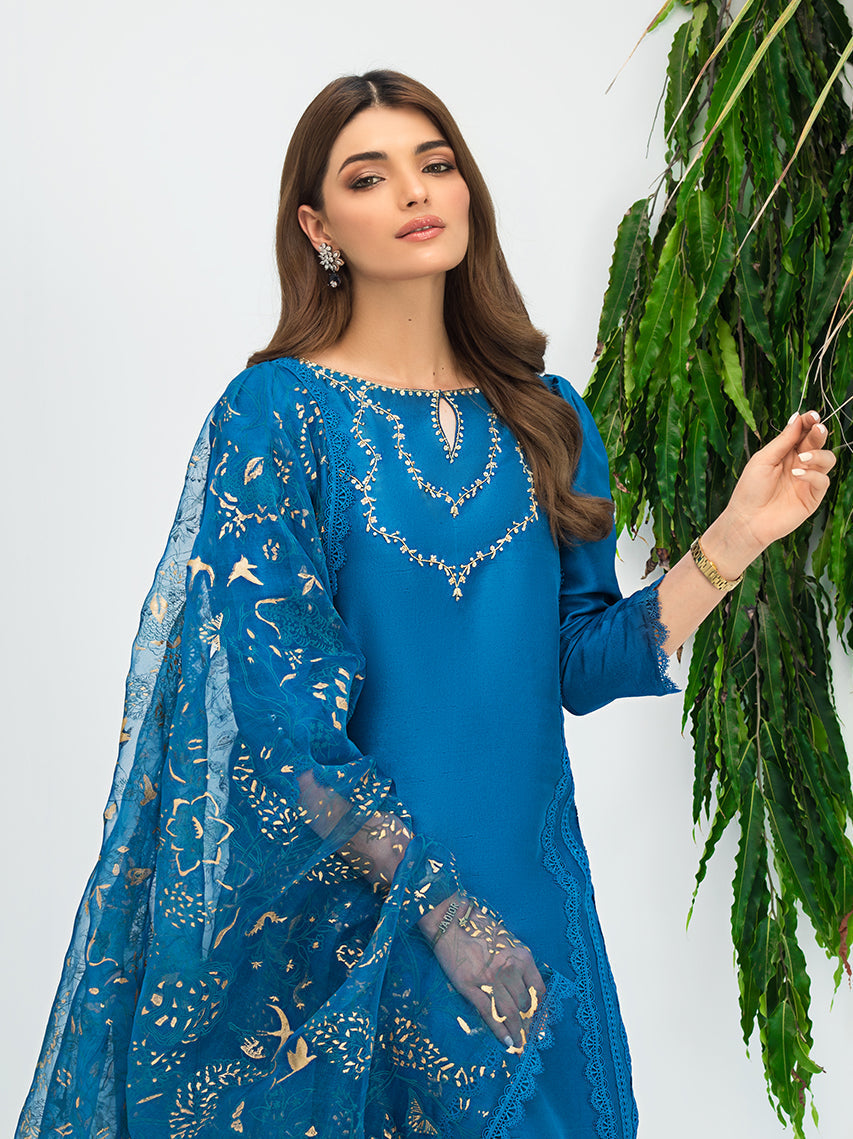 Anam Akhlaq | Festive Collection | D-07 - House Of Anaya