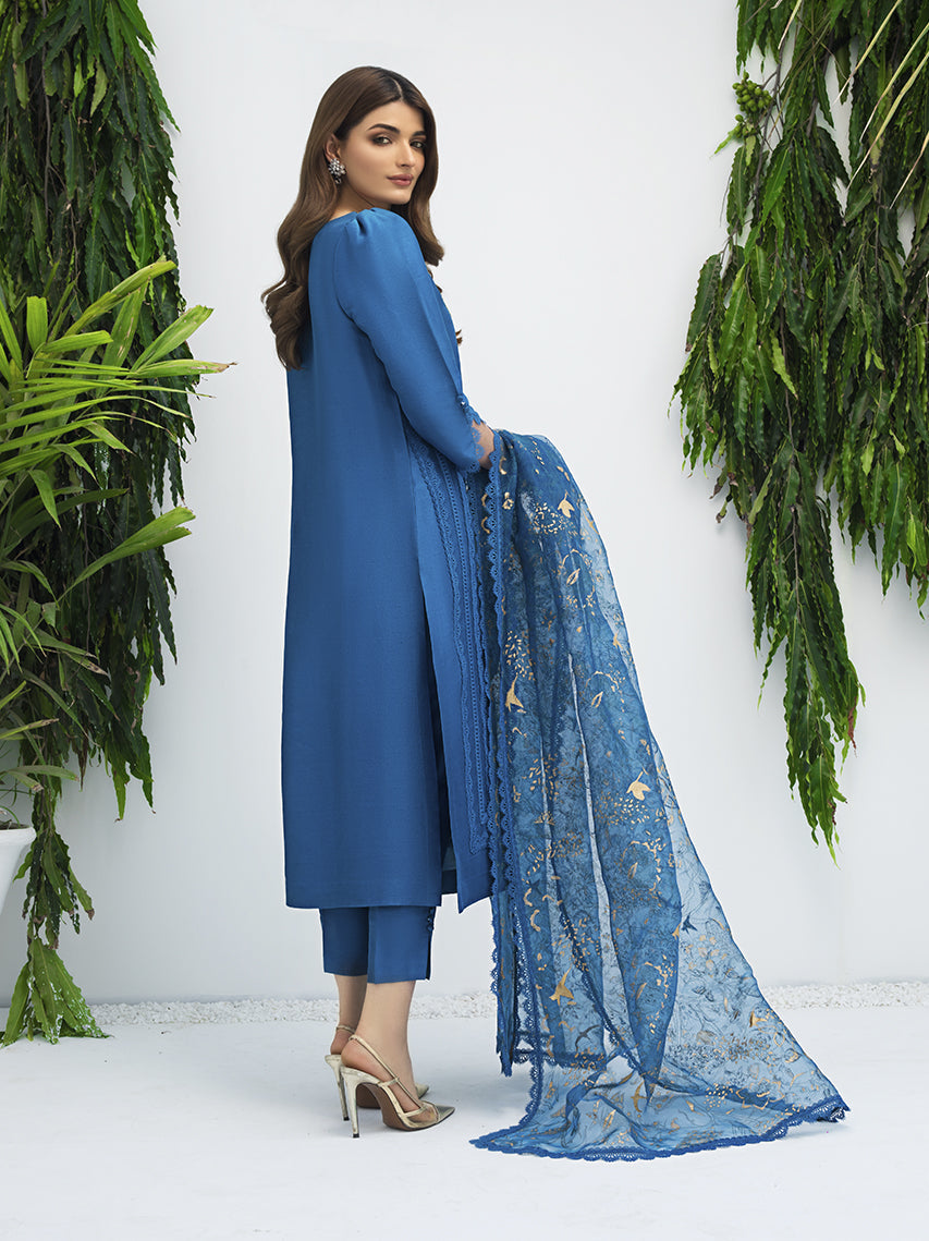 Anam Akhlaq | Festive Collection | D-07 - House Of Anaya