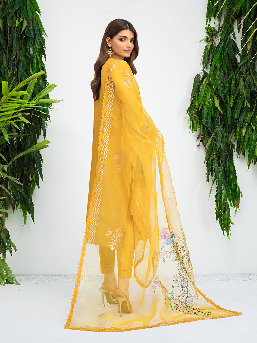 Anam Akhlaq | Festive Collection | D-10 - House Of Anaya