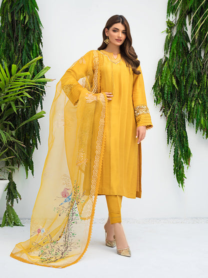 Anam Akhlaq | Festive Collection | D-10 - House Of Anaya