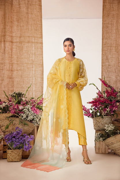 Anam Akhlaq | Festive Collection | D-35 - House Of Anaya