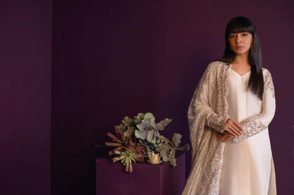 Anam Akhlaq | Festive Collection | D-47 - House Of Anaya