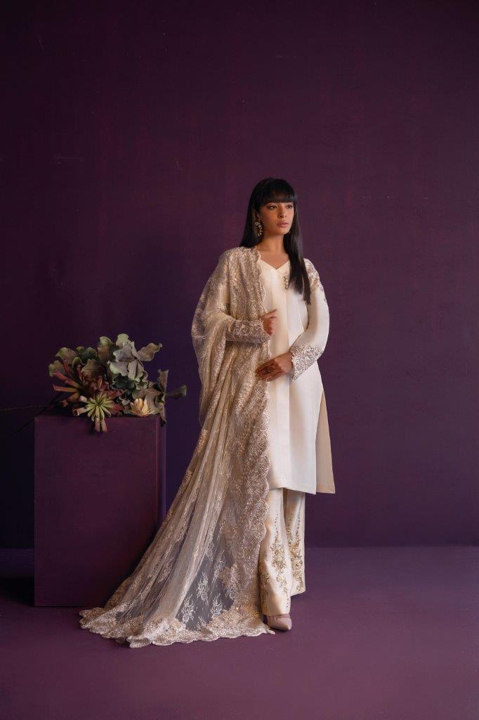 Anam Akhlaq | Festive Collection | D-47 - House Of Anaya