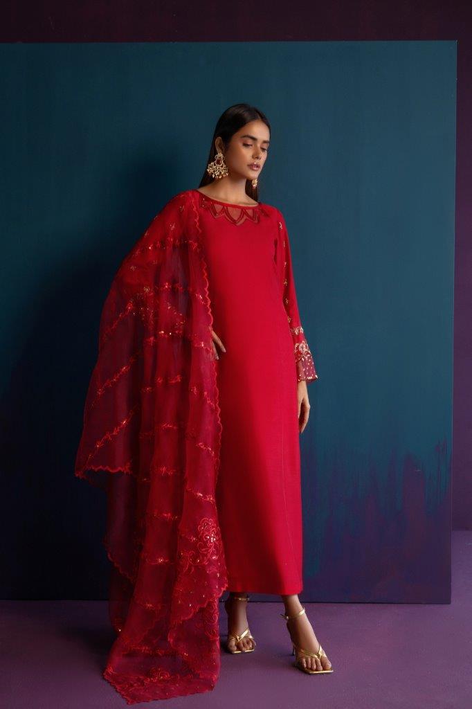 Anam Akhlaq | Festive Collection | D-46 - House Of Anaya
