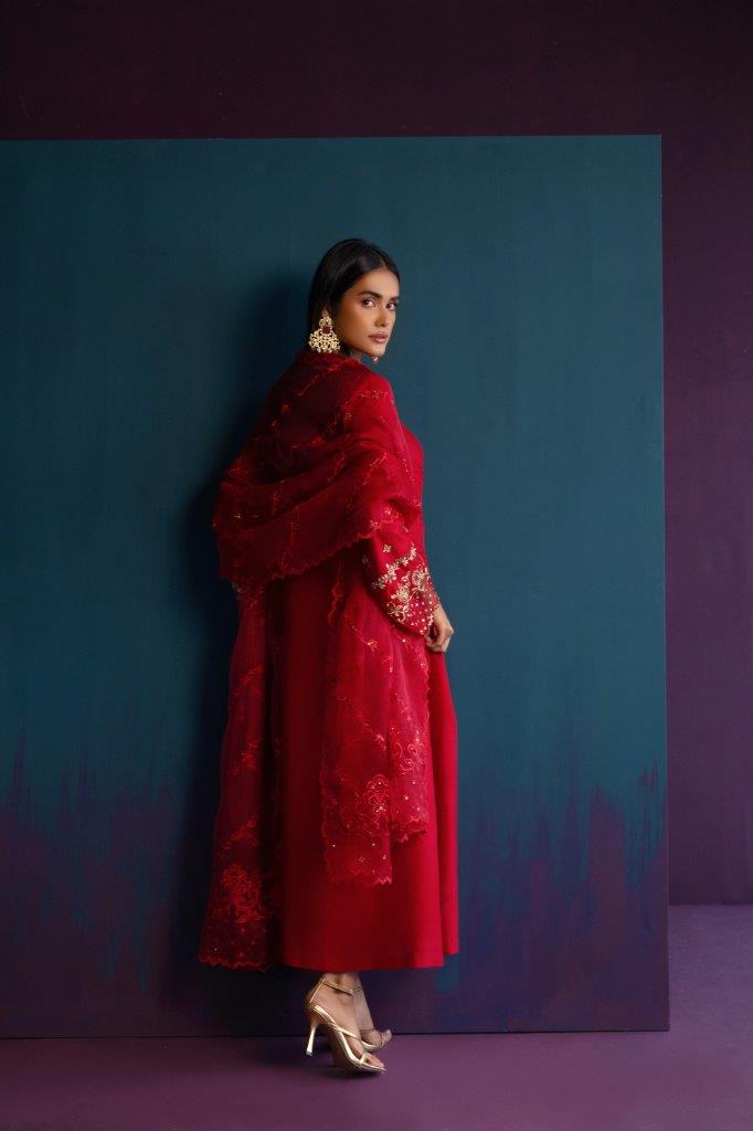 Anam Akhlaq | Festive Collection | D-46 - House Of Anaya