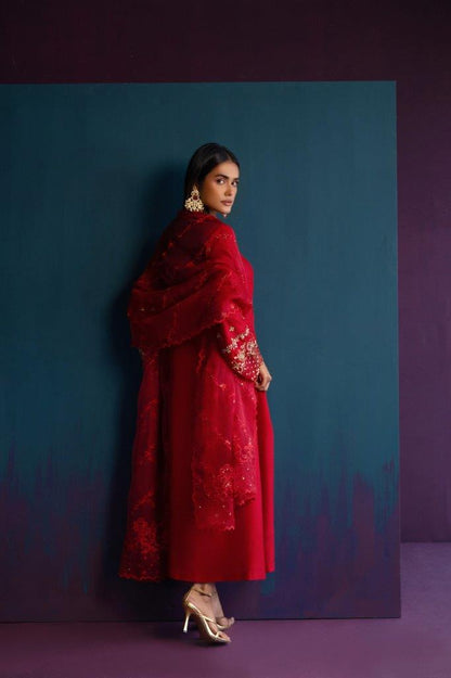 Anam Akhlaq | Festive Collection | D-46 - House Of Anaya