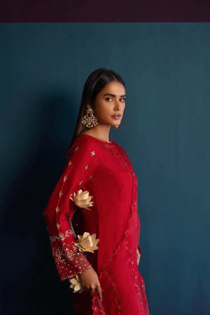 Anam Akhlaq | Festive Collection | D-46 - House Of Anaya