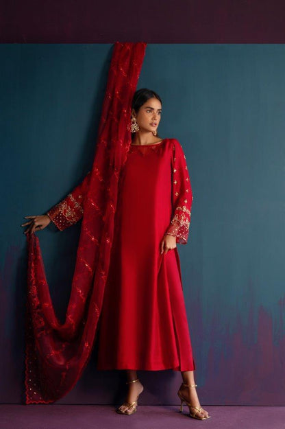 Anam Akhlaq | Festive Collection | D-46 - House Of Anaya