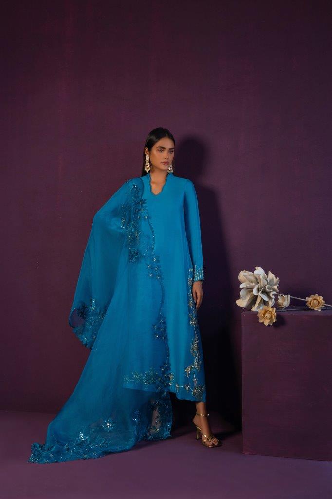 Anam Akhlaq | Festive Collection | D-45 - House Of Anaya