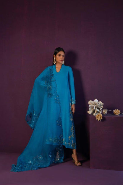 Anam Akhlaq | Festive Collection | D-45 - House Of Anaya
