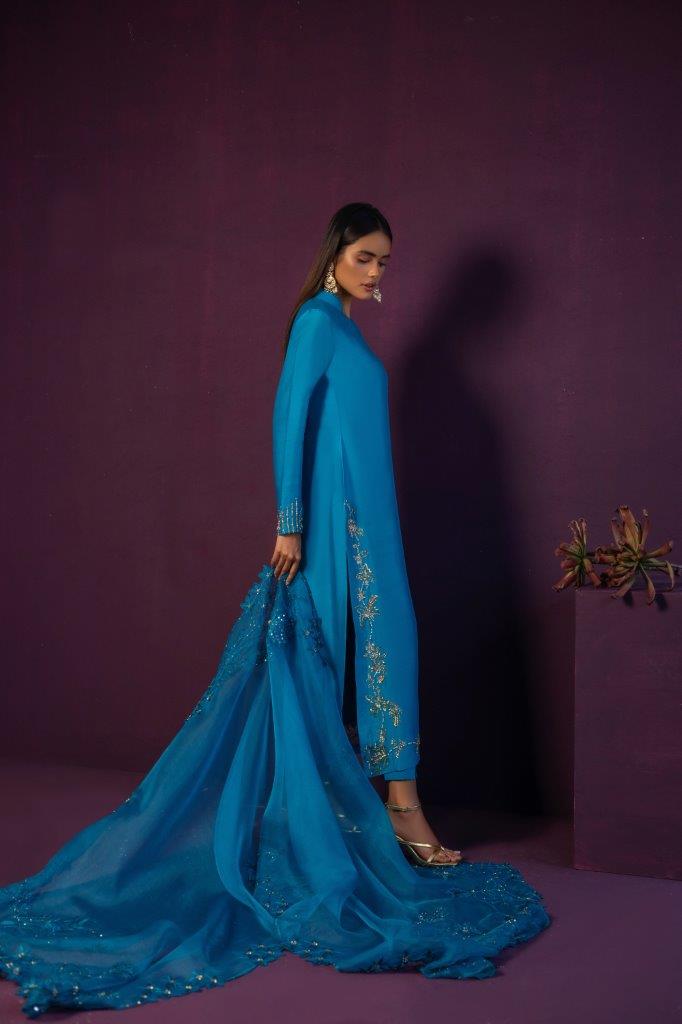 Anam Akhlaq | Festive Collection | D-45 - House Of Anaya