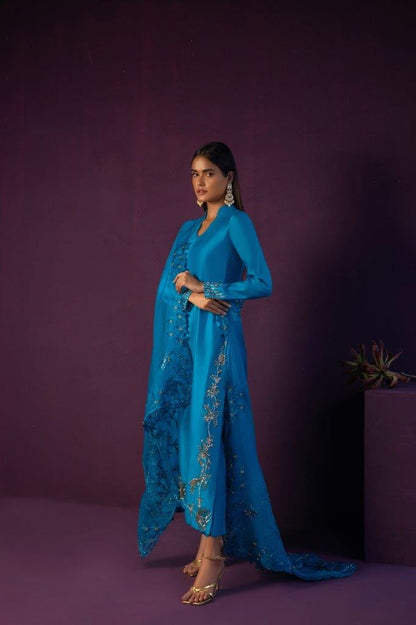Anam Akhlaq | Festive Collection | D-45 - House Of Anaya