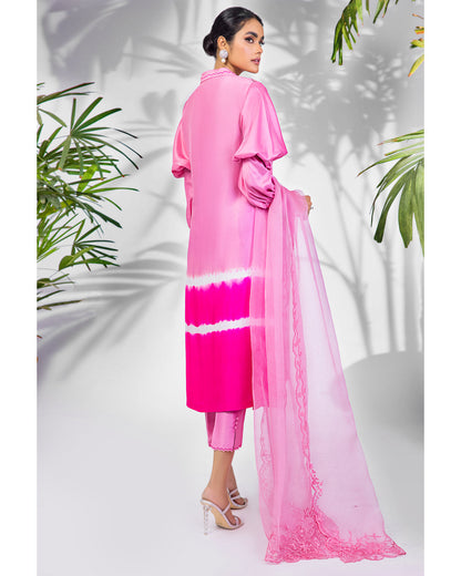 Anam Akhlaq | Festive Collection | D-22 - House Of Anaya