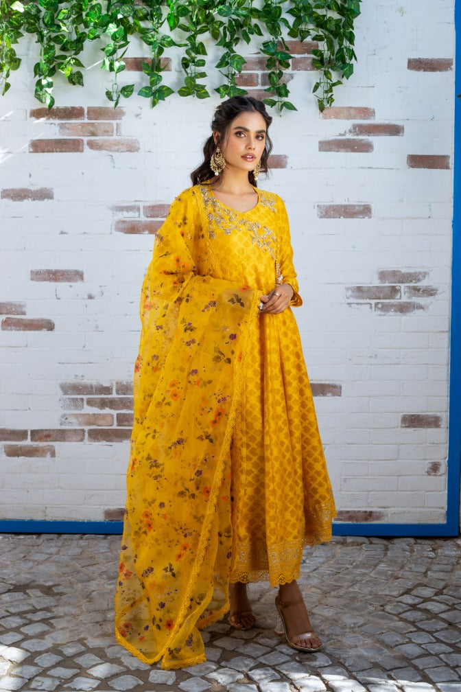 Anam Akhlaq | Festive Collection | D-12 - House Of Anaya
