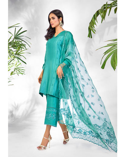 Anam Akhlaq | Festive Collection | D-24 - House Of Anaya