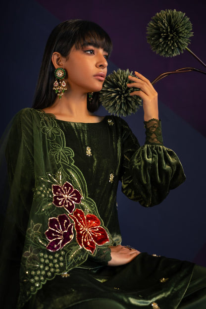 Anam Akhlaq | Festive Collection | D-40 - House Of Anaya