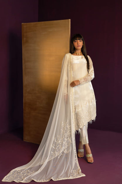 Anam Akhlaq | Festive Collection | D-42 - House Of Anaya