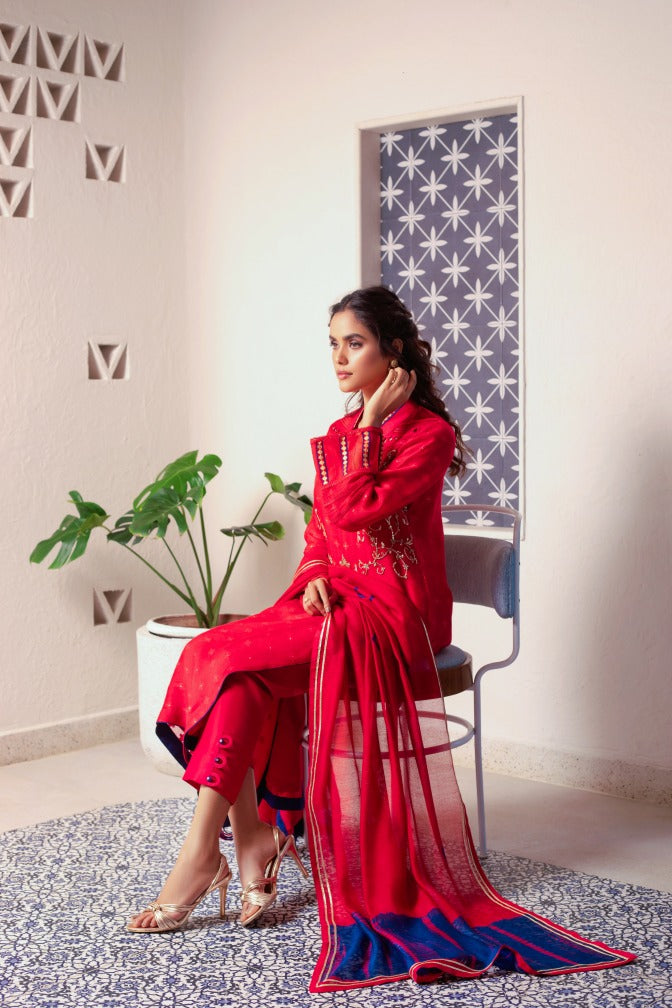 Anam Akhlaq | Festive Collection | D-13 - House Of Anaya
