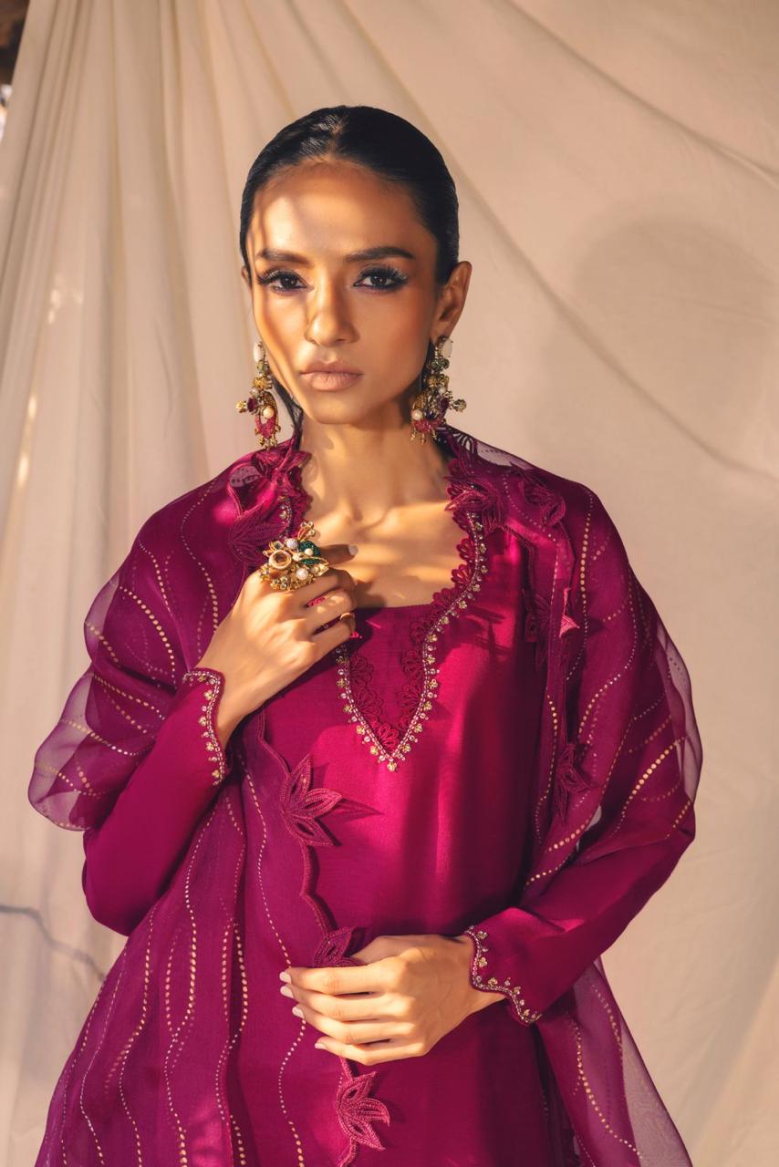 Anam Akhlaq | Festive Collection | D-53 - House Of Anaya