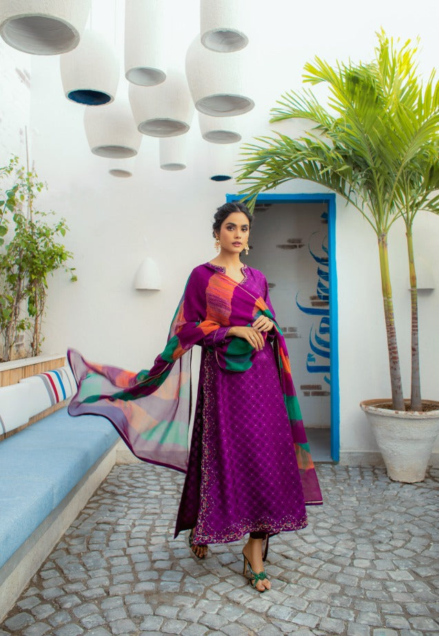 Anam Akhlaq | Festive Collection | D-14 - House Of Anaya