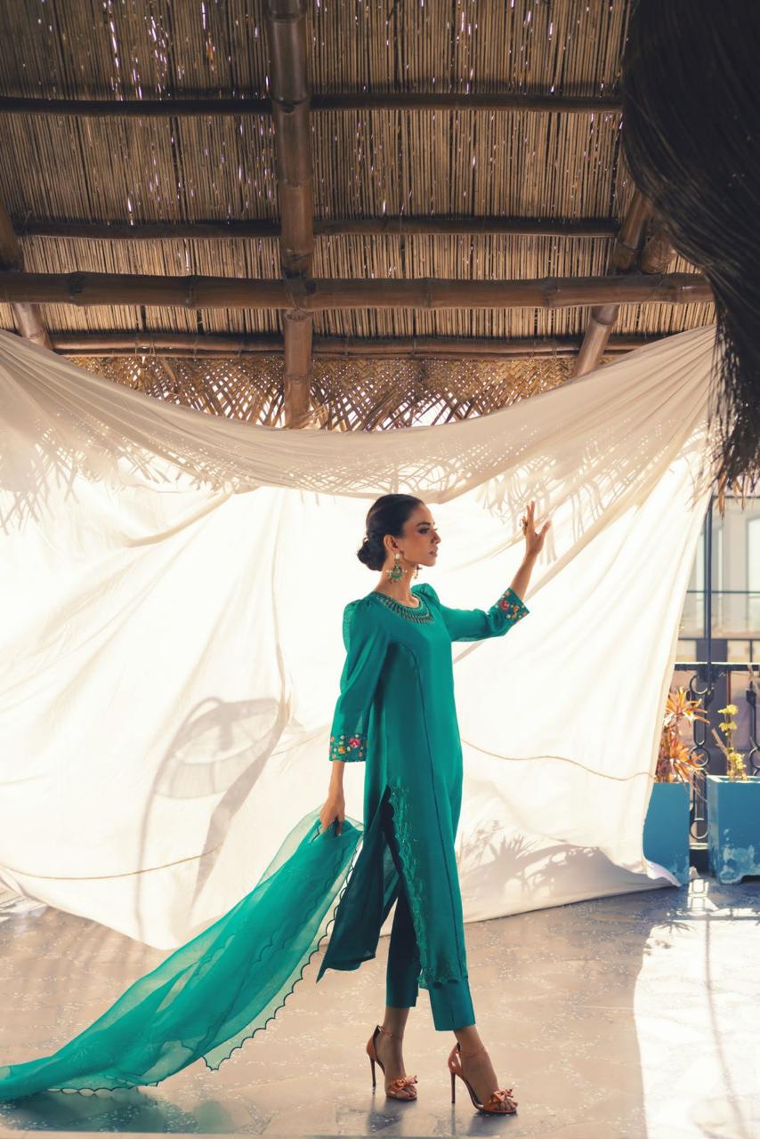 Anam Akhlaq | Festive Collection | D-48 - House Of Anaya