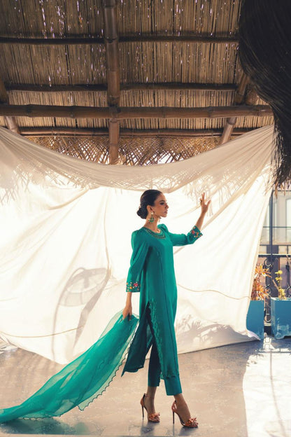 Anam Akhlaq | Festive Collection | D-48 - House Of Anaya