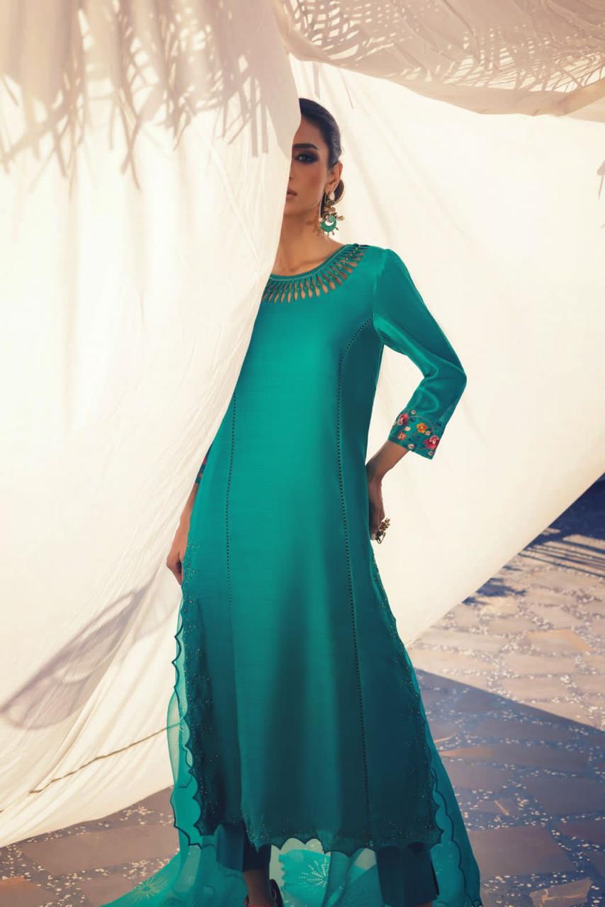 Anam Akhlaq | Festive Collection | D-48 - House Of Anaya