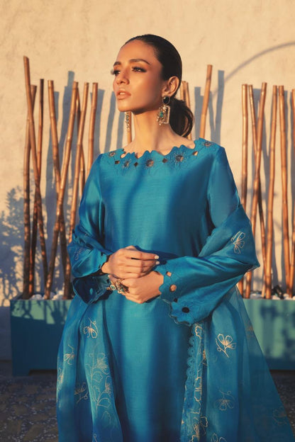 Anam Akhlaq | Festive Collection | D-50 - House Of Anaya