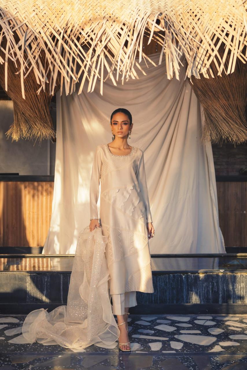 Anam Akhlaq | Festive Collection | D-52 - House Of Anaya